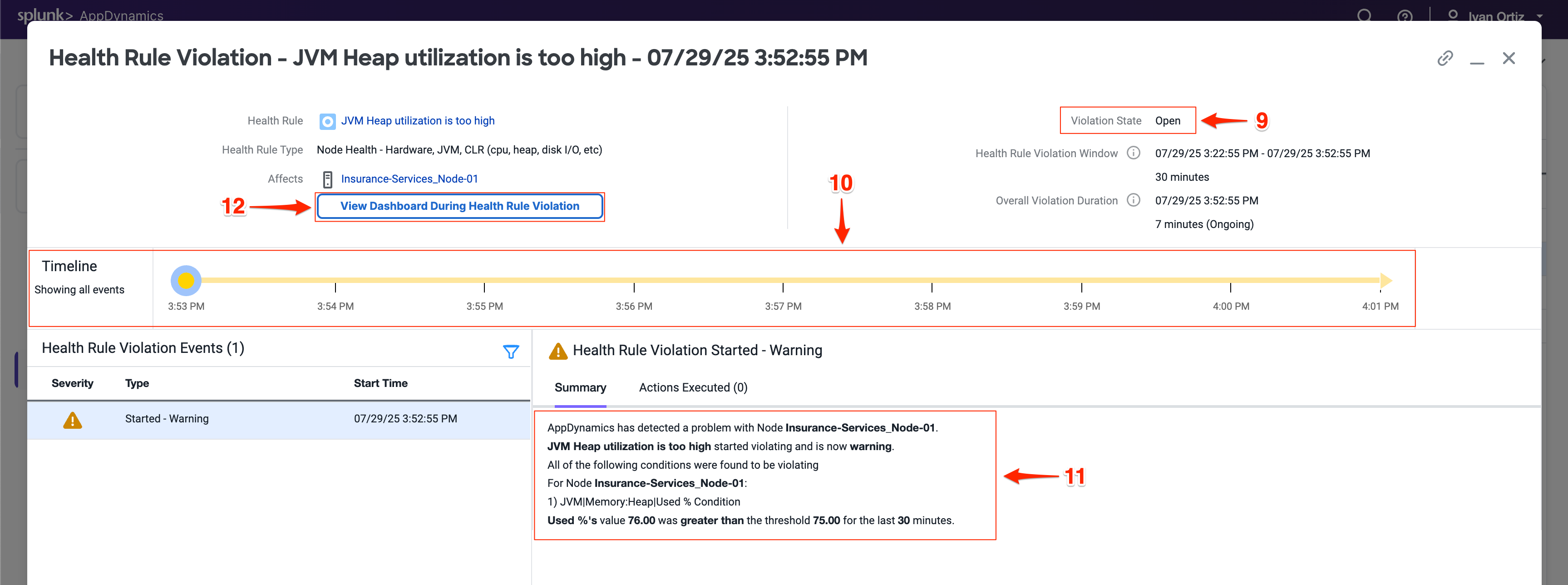 Health Rule Violation Details