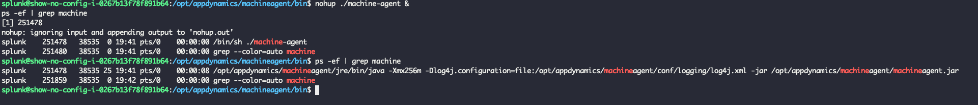 Example Output