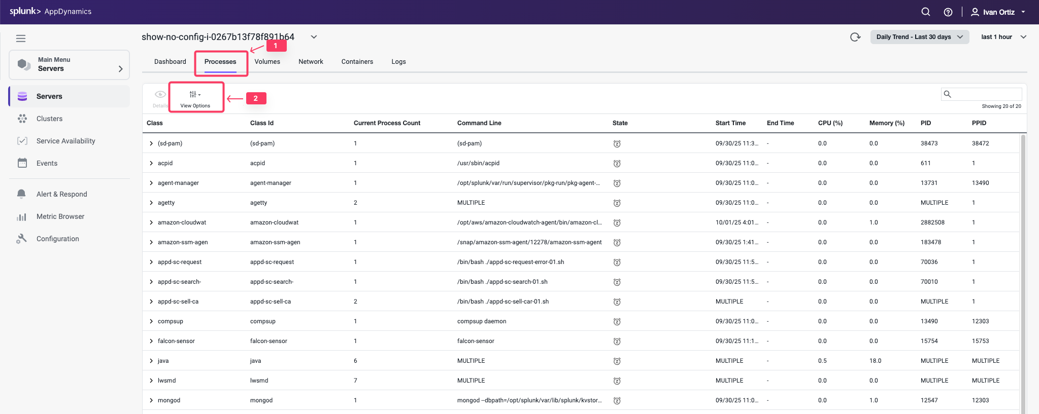 Dashboard Processes