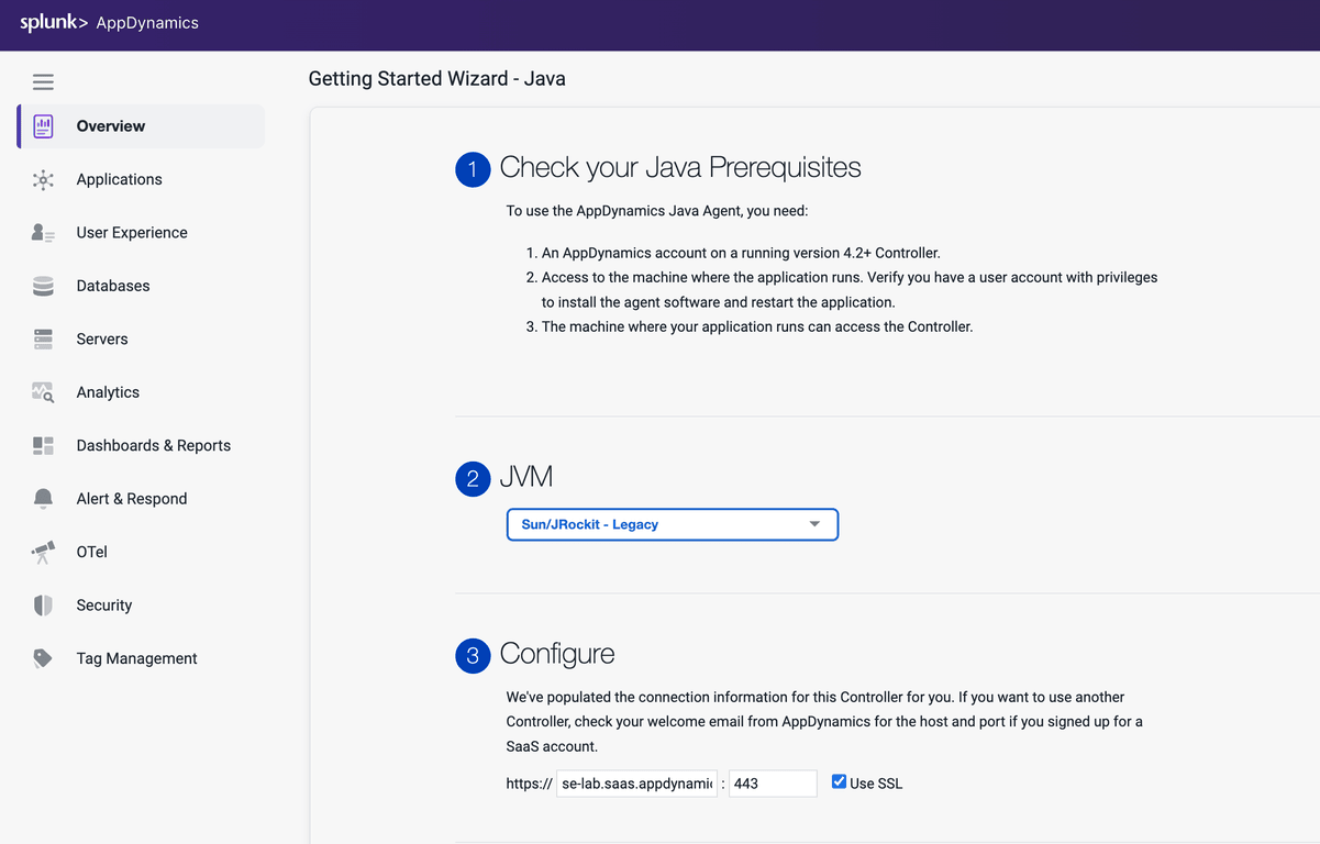 Agent Configuration1