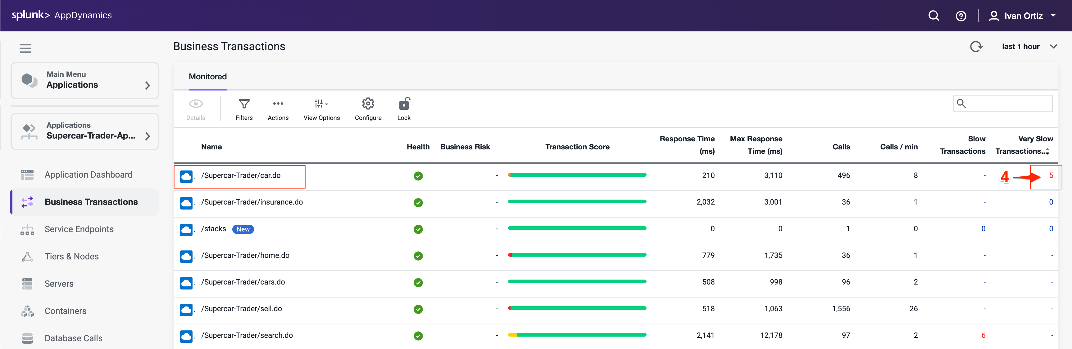 Very Slow Transaction