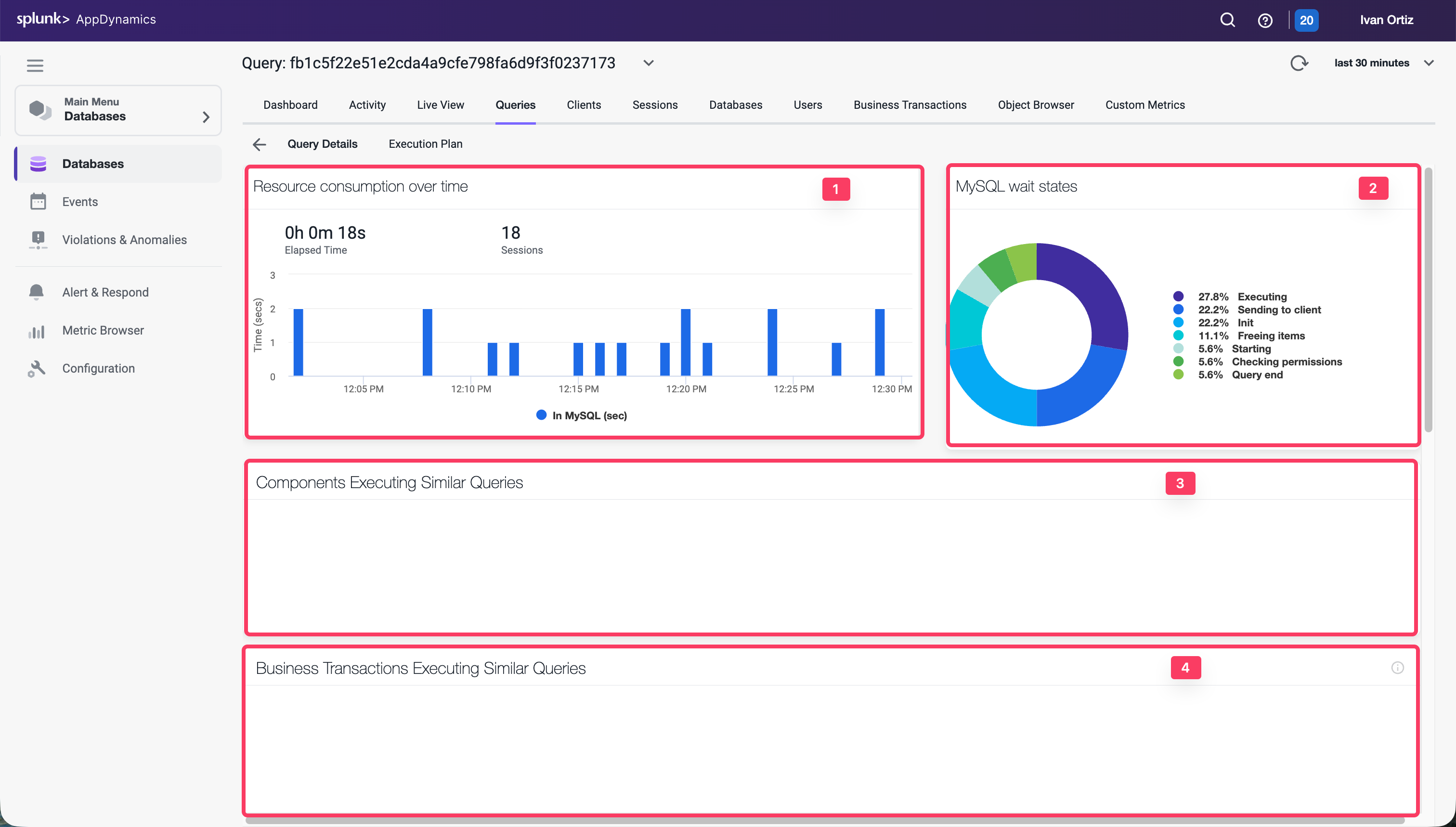 Expensive Query Details