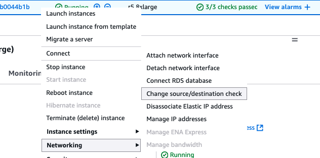 Change source/destination check